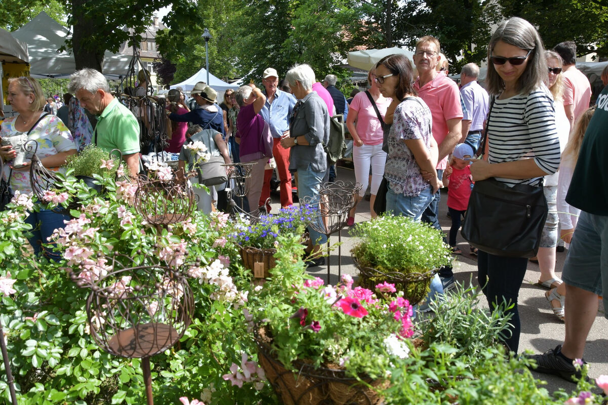 rosenmarkt_moessingen_meyer_2018_21