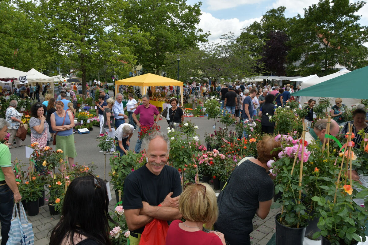 rosenmarkt_moessingen_meyer_2018_24