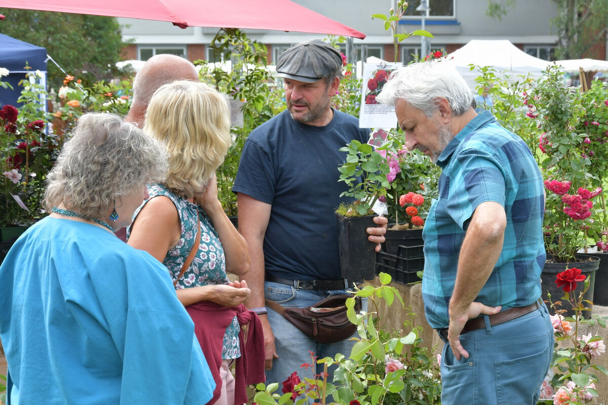 rosenmarkt_moessingen_meyer_2018_27