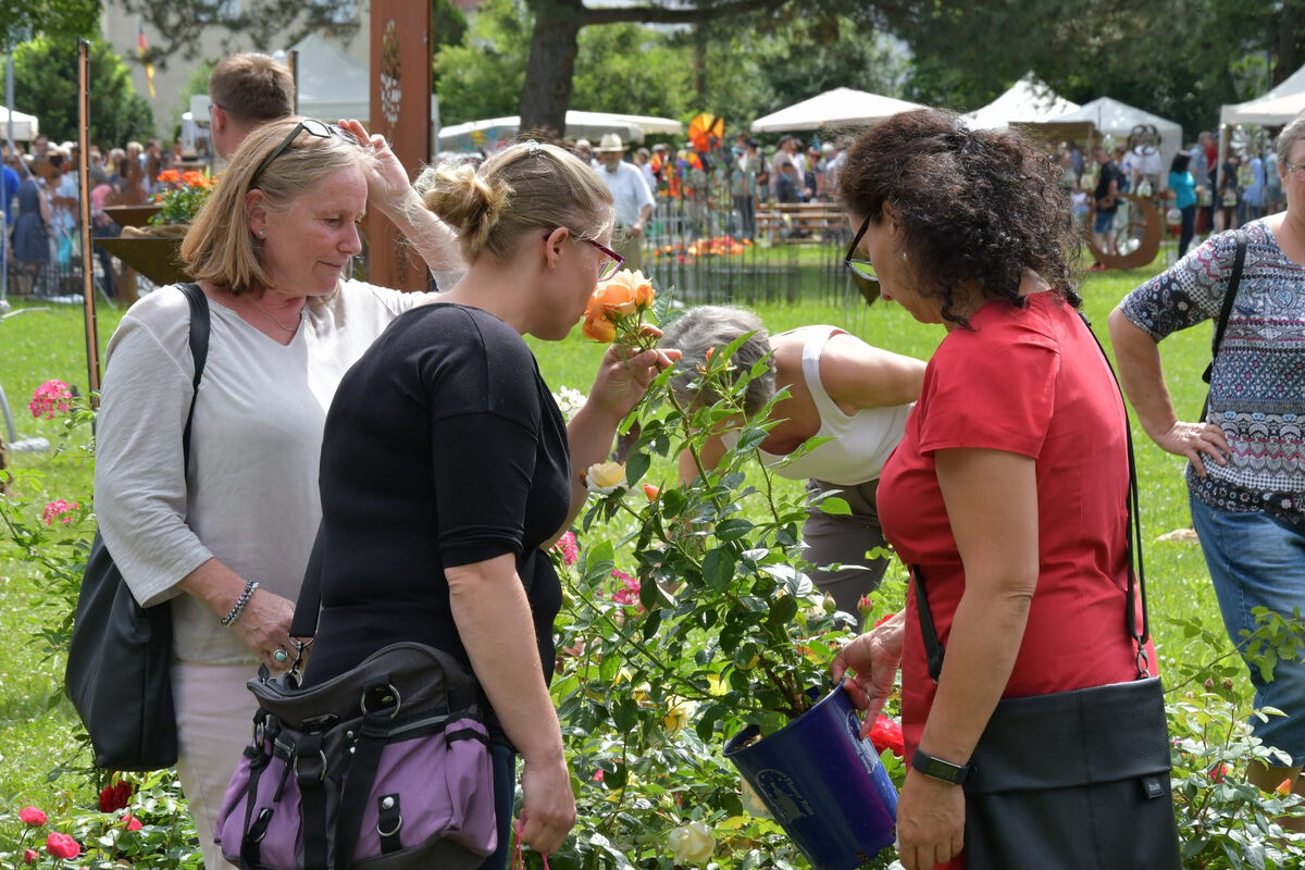 rosenmarkt_moessingen_meyer_2018_29