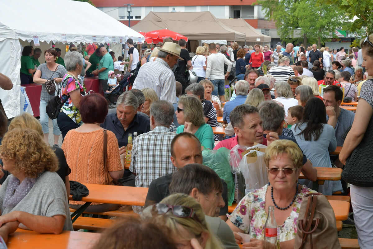 rosenmarkt_moessingen_meyer_2018_31
