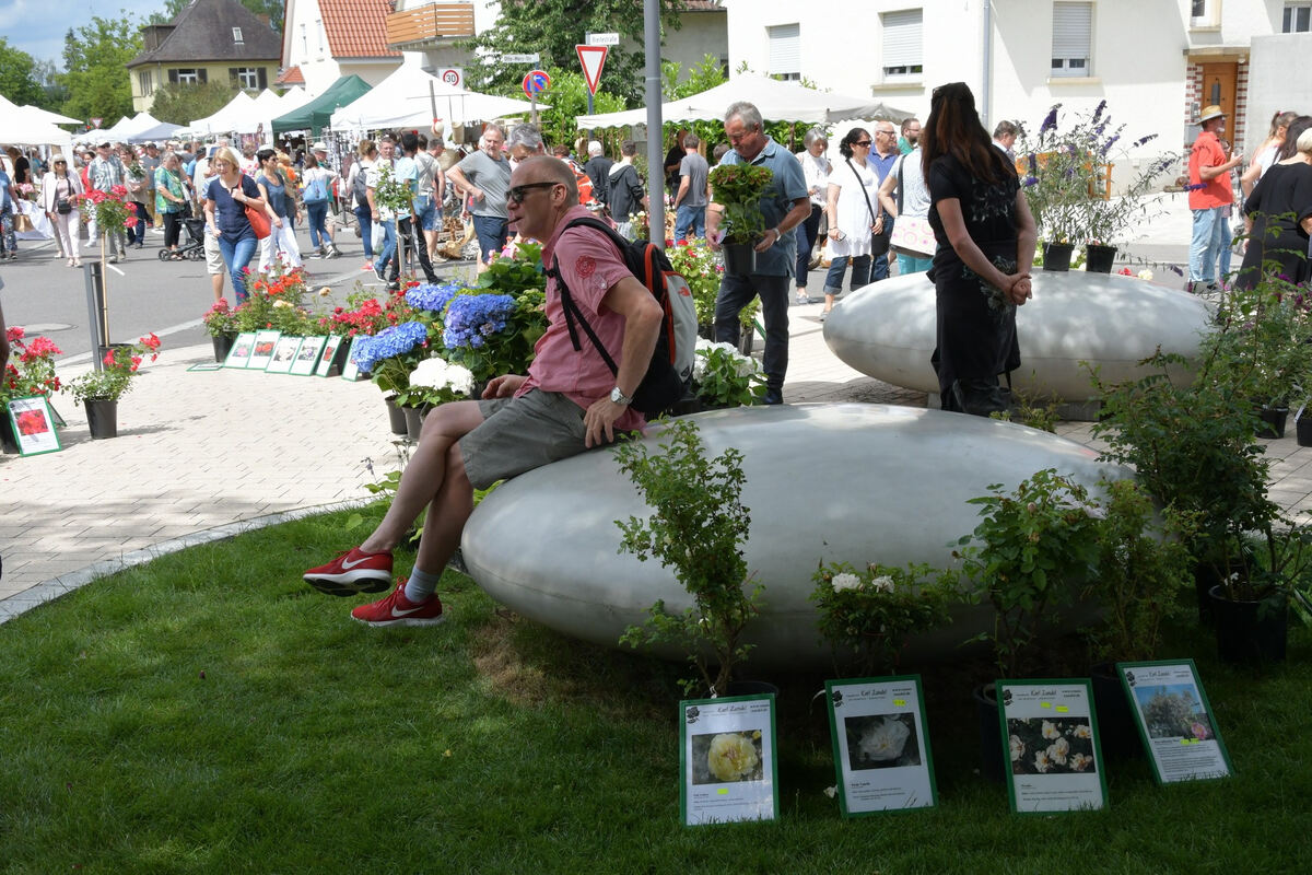 rosenmarkt_moessingen_meyer_2018_38