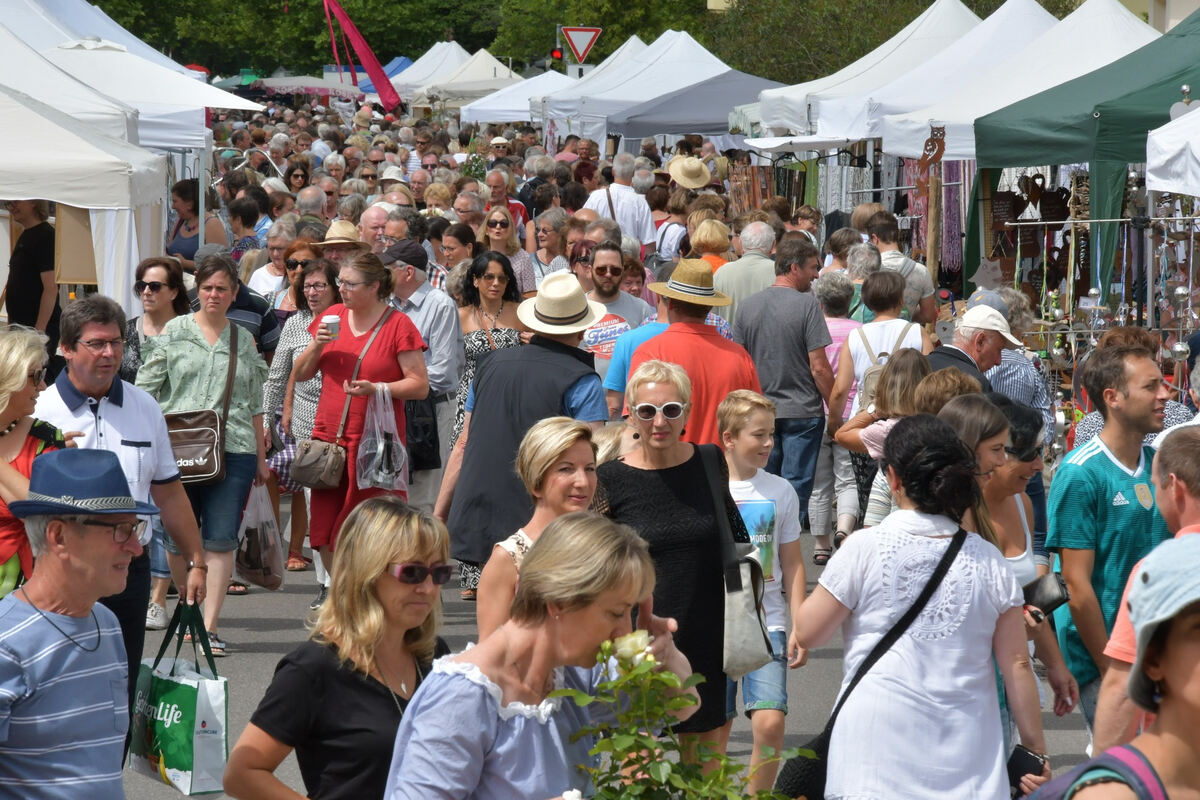 rosenmarkt_moessingen_meyer_2018_39