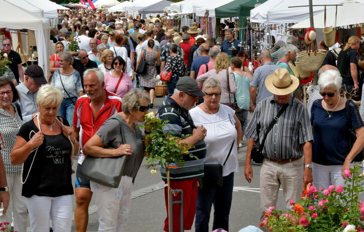 rosenmarkt_moessingen_meyer_2018_40