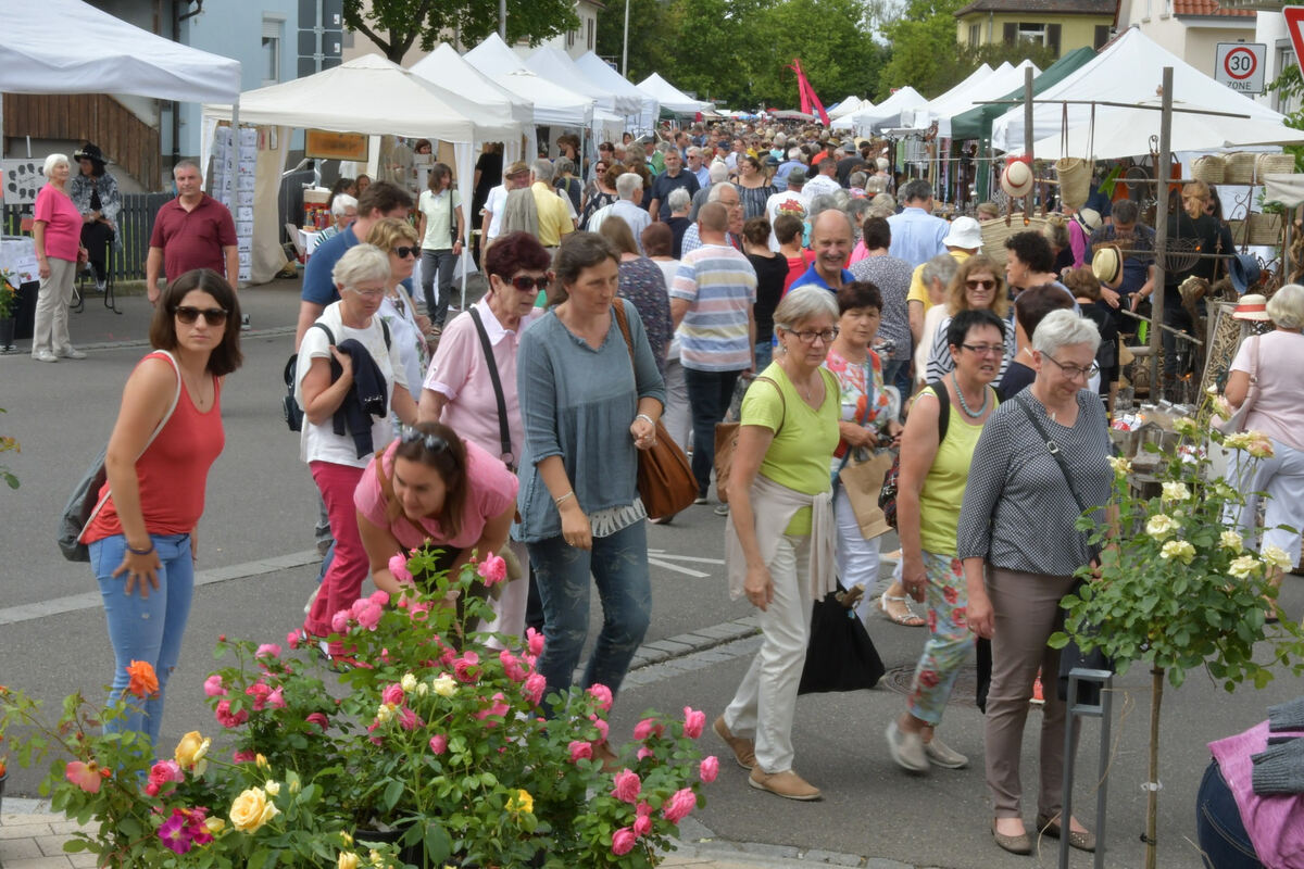 rosenmarkt_moessingen_meyer_2018_41