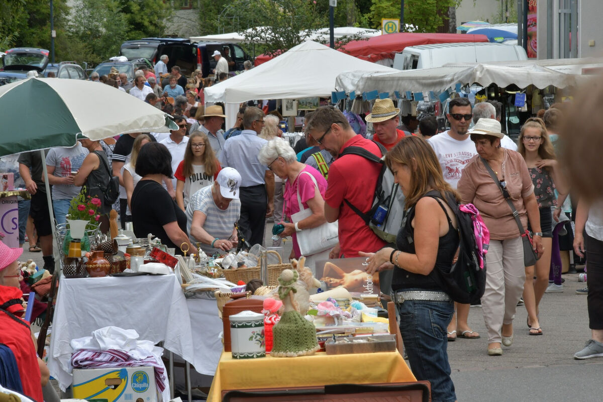 rosenmarkt_moessingen_meyer_2018_45