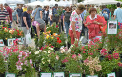 Rosenmarkt Mössingen