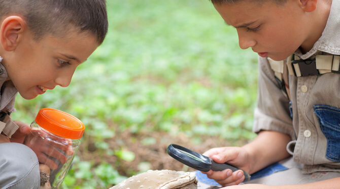 Es gibt auf dem Listhof immer etwas zu erforschen. FOTO: FOTOLIA