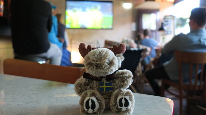 Kein Ausweichen beim Elchtest: Ein Fußballmuffel schaut sich in einer Stuttgarter Kneipe die Partie gegen Schweden an. FOTO: MER
