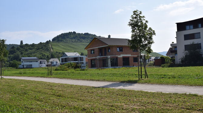 Gebaut werden soll das neue Kinderhaus im Gebiet Amtäcker-Brühl mit Blick zum Neuhäuser Weinberg, dem Hofbühl. FOTO: FÜSSEL