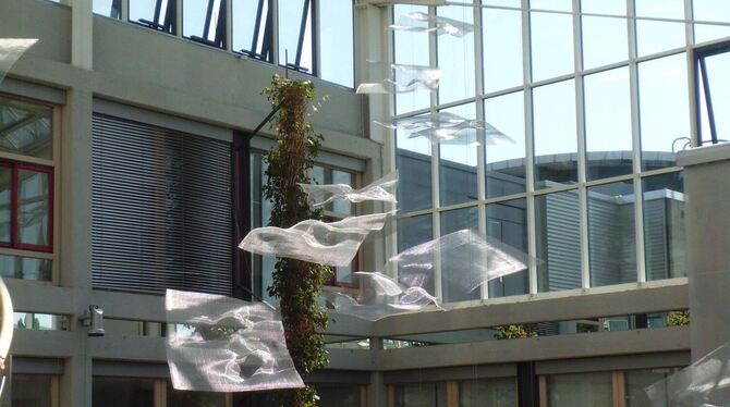 Als würden sie in den Himmel schweben: Anklams Plastiken im Dominohaus.  FOTO: VOLLMER