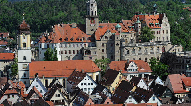 Auch Sigmaringen profitiert vom Zuzug in Klein- und Mittelstädte.  FOTO: DPA