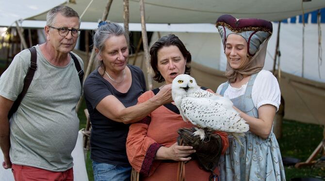 Zunftmarktbesucher der ersten Stunde bestaunen eine Falknerin und deren zutrauliche Schnee-Eule. Beide werden sie heute und morg