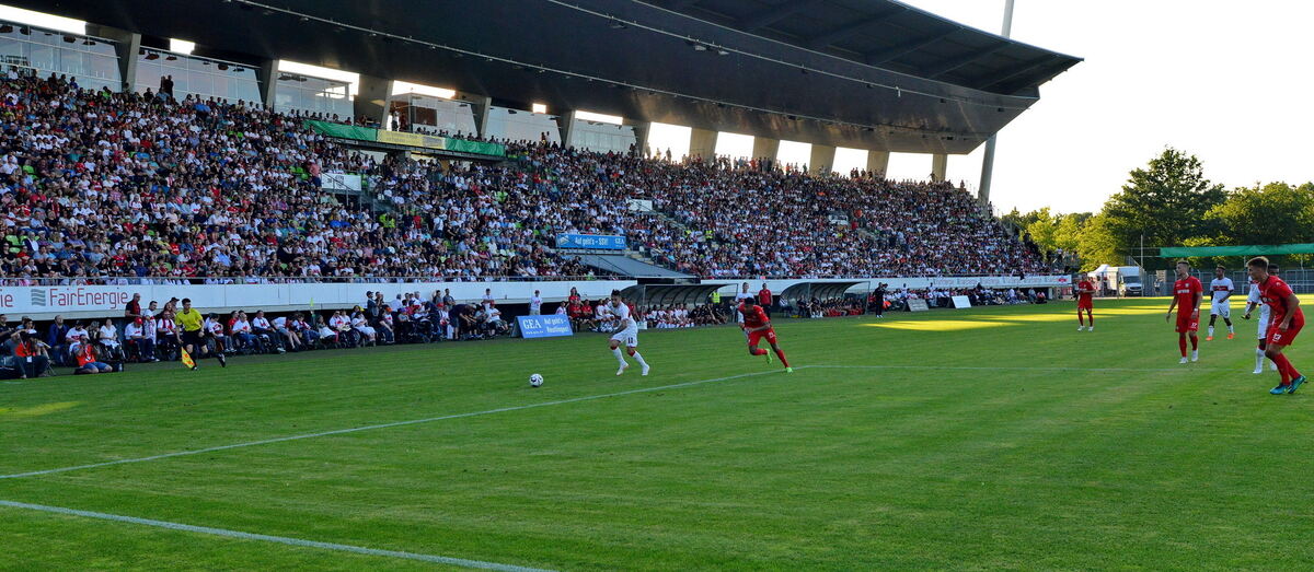 sport-1407-13ssv-vfb-niethammer