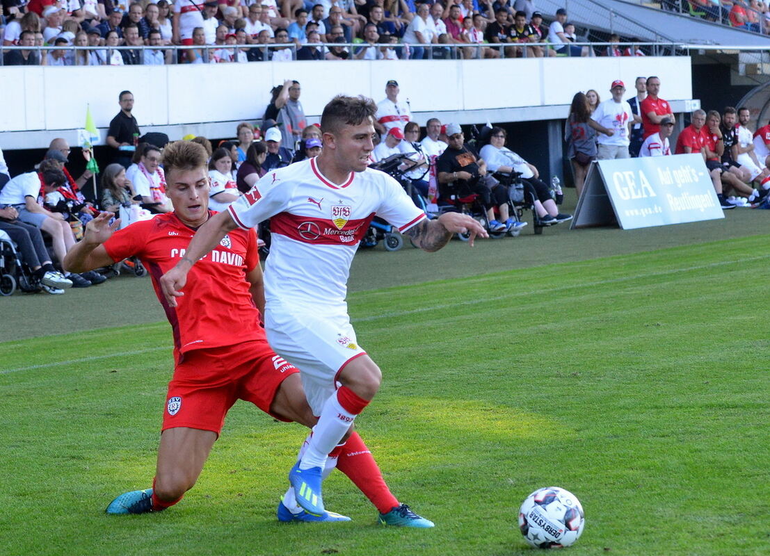 sport-1407-14ssv-vfb-niethammer