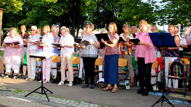 Ein stimmungsvolles Serenadenkonzert gab der Magdalenenchor Pfullingen.  FOTO: LEIPPERT