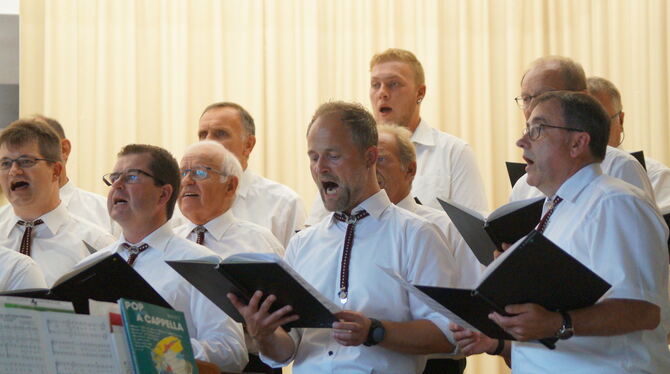 Der Männerchor Erpfingen bot zusammen mit musikalischen Gästen den Zuhörern einen »Sommernachtstraum«. FOTO: WURSTER