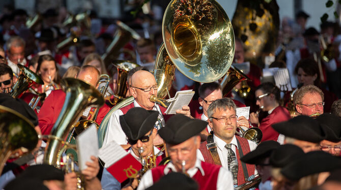 Klangstarker Auftritt: Bei der Serenade auf dem Mägerkinger Dorfplatz formierten sich 700 Musiker zum Riesen-Ensemble. FOTOS: LE