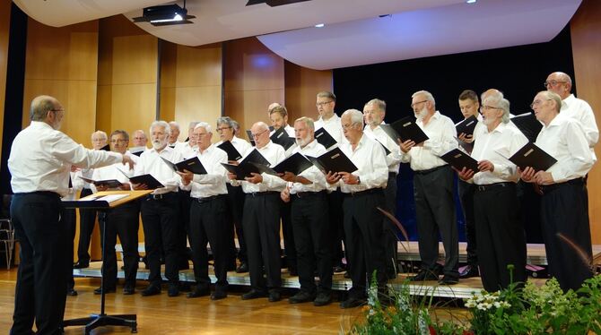 Der Liederkranz Belsen bei seinem Konzert anlässlich des 130-jährigen Bestehens. FOTO: STB
