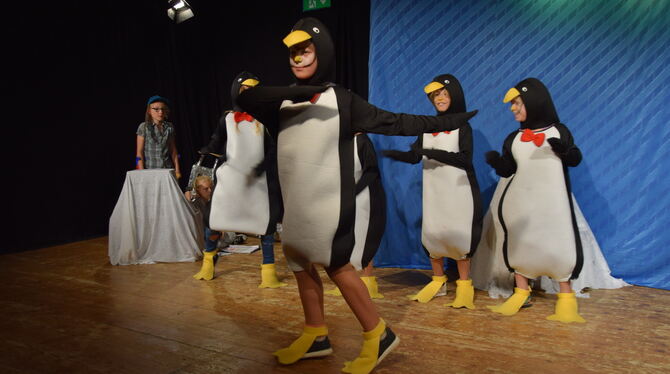 Watschel, watschel, watschel, eins, zwei drei und schon tanzen die Pinguine in der Arktis. Aus sicherer Entfernung werden sie da