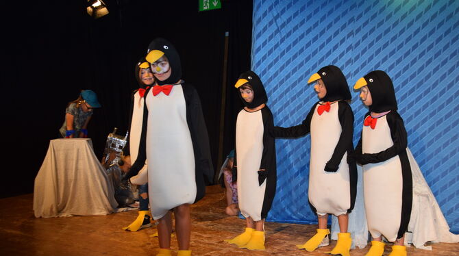 Der gut gelaunte Tanz der Pinguine wird aus sicherer Entfernung von den Weltreisenden beobachtet.  FOTO: GEIGER