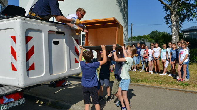 Die Schüler übergeben die Nisthilfe den Helfern im Steiger. Diese brachten sie dann in luftiger Höhe am Wasserturm an. FOTO: NIE