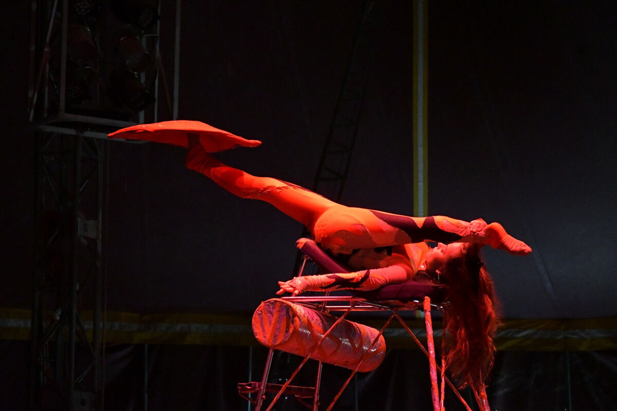 circus_voyage_reutlingen_2018_meyer_19