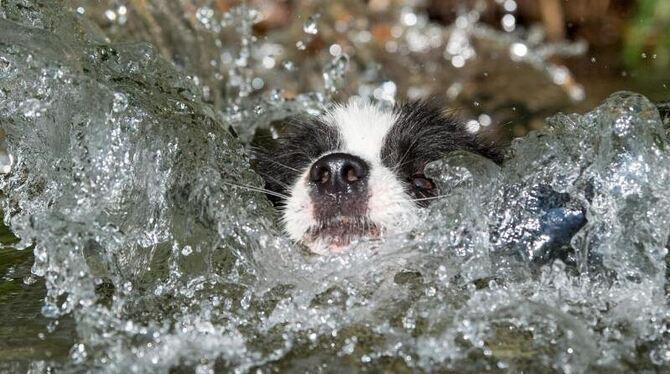 Abkühlung Abkühlung