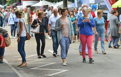 Neigschmeckt-Markt: Planie und Stadtgarten laden heute noch bis 19 Uhr wieder zum Schlendern und Schlemmen ein.  FOTO: NIETHAMME