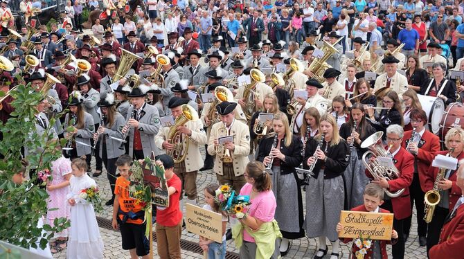 Beim Bezirksmusikertreffen in Gammertingen feierten 500 Musikanten aus 14 Kapellen mit den Gastgebern. FOTO: BUTSCHER