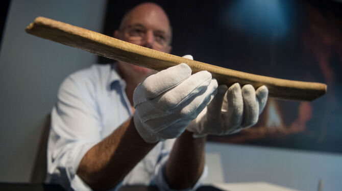 Nicholas Conard zeigt den langen Knochen. Die Rippe weist viele kleine Markierungen auf. FOTO: DPA