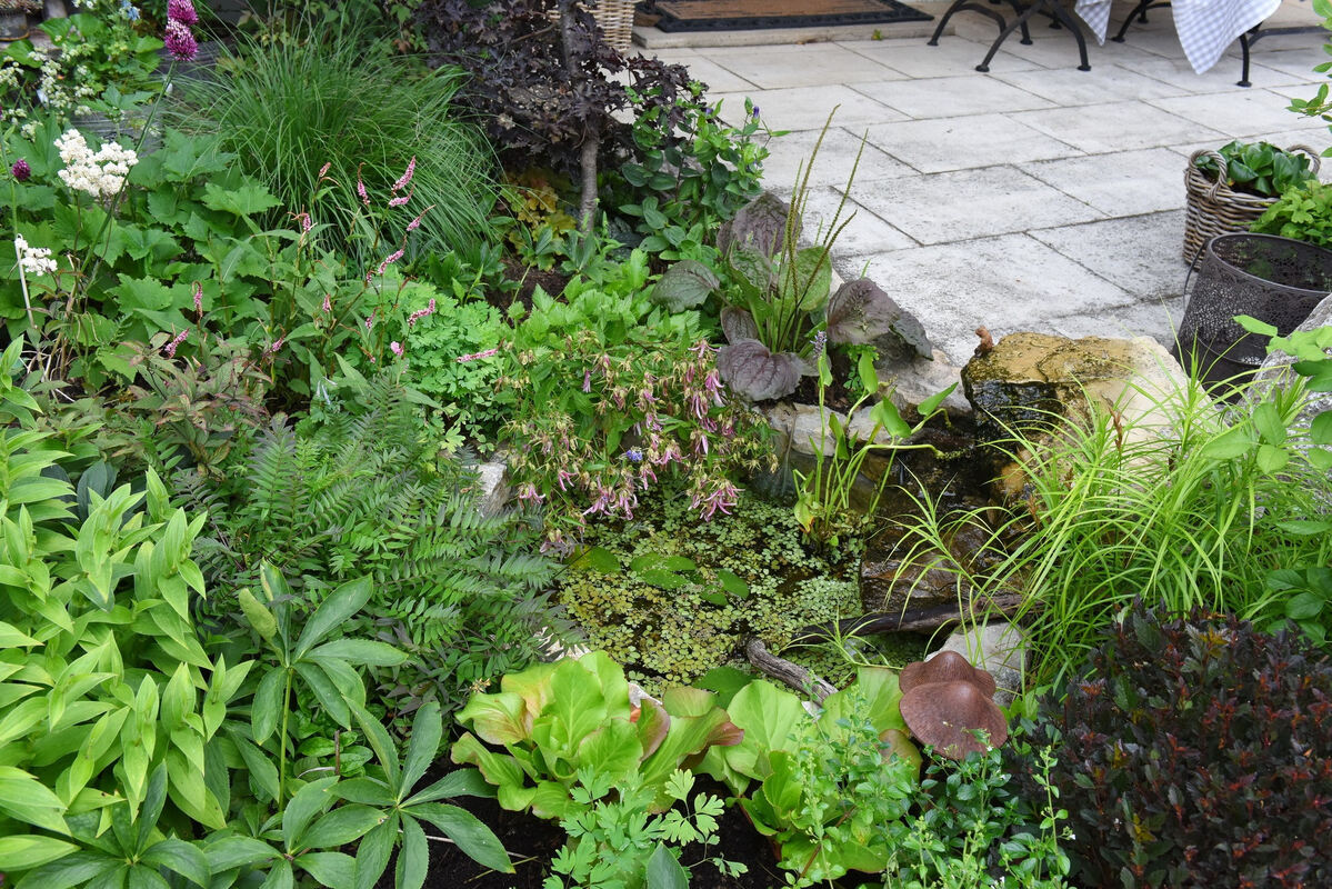 garten_plewe_rommelsbach_pacher_57