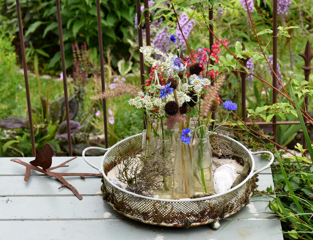 garten_plewe_rommelsbach_pacher_60