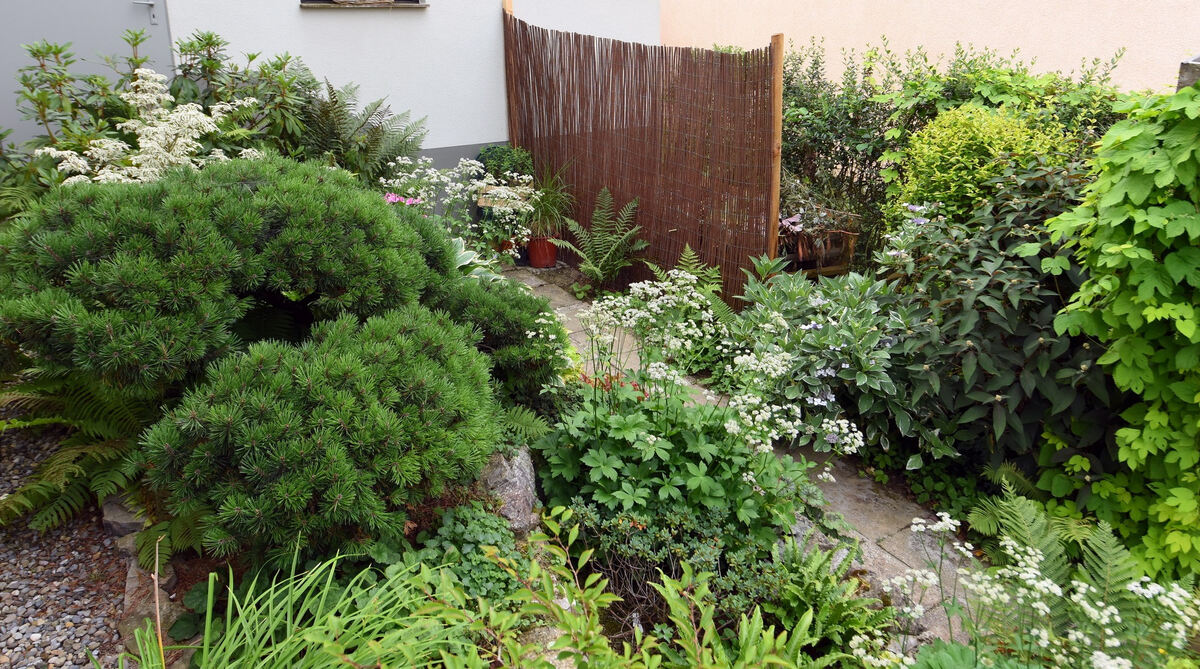 garten_plewe_rommelsbach_pacher_15