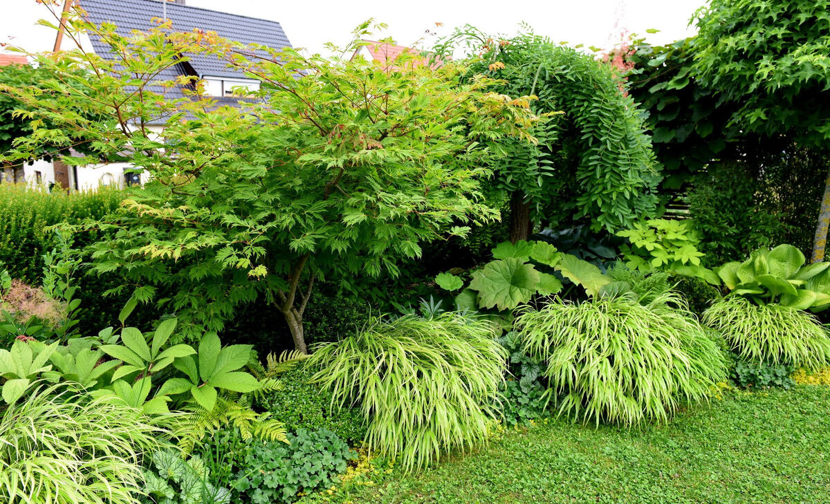 garten_plewe_rommelsbach_pacher_32