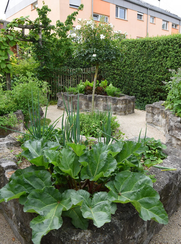 garten_plewe_rommelsbach_pacher_34