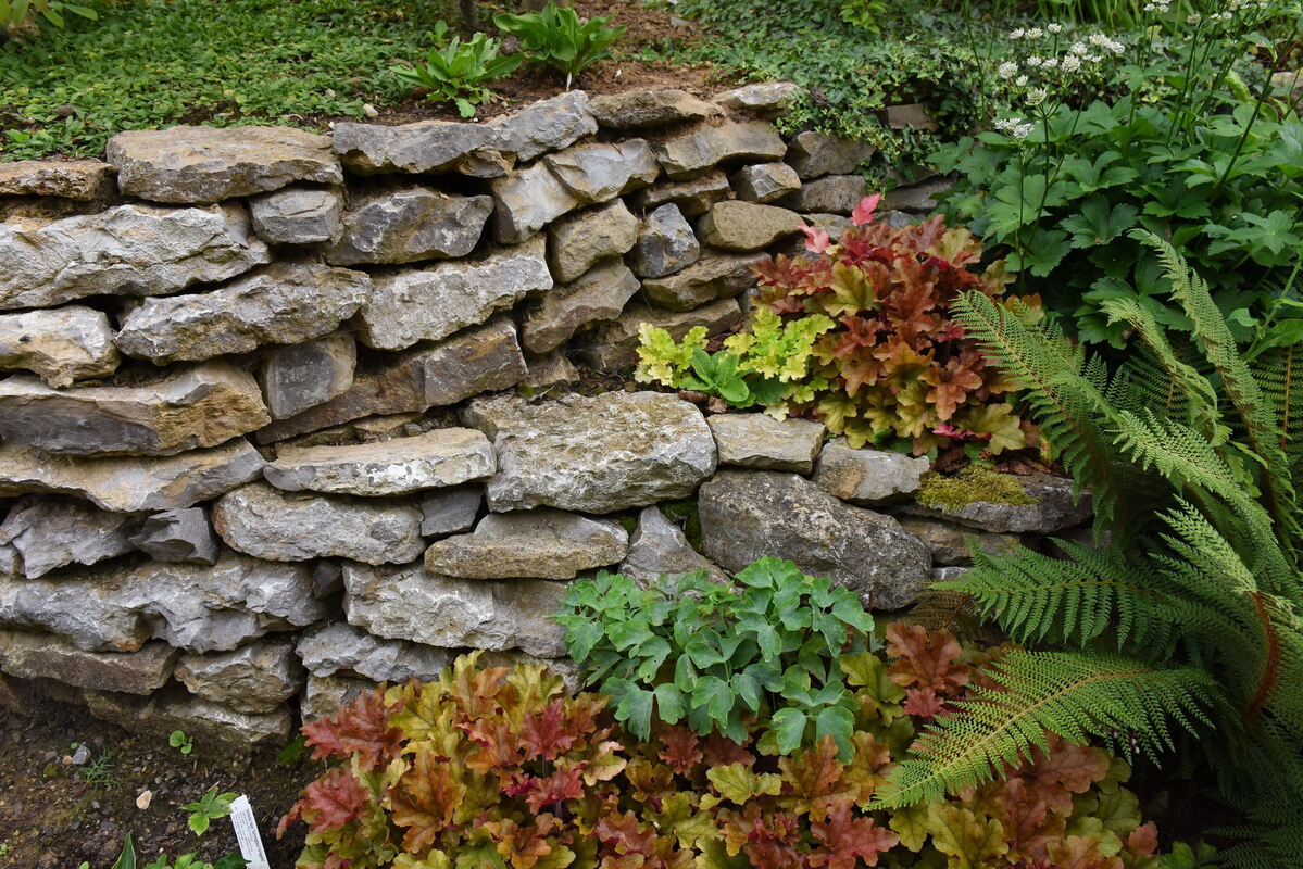 garten_plewe_rommelsbach_pacher_38