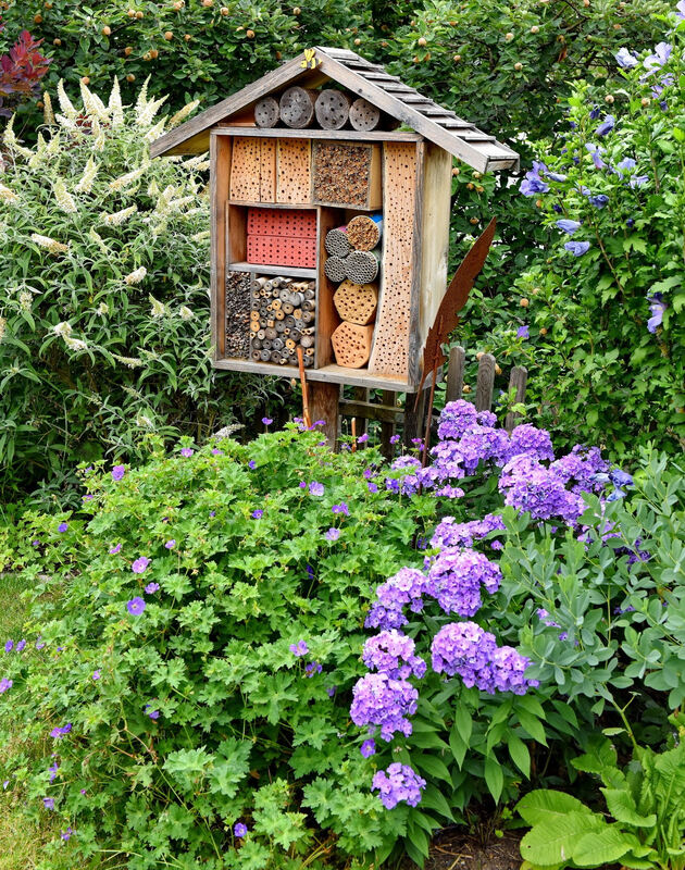 garten_plewe_rommelsbach_pacher_50