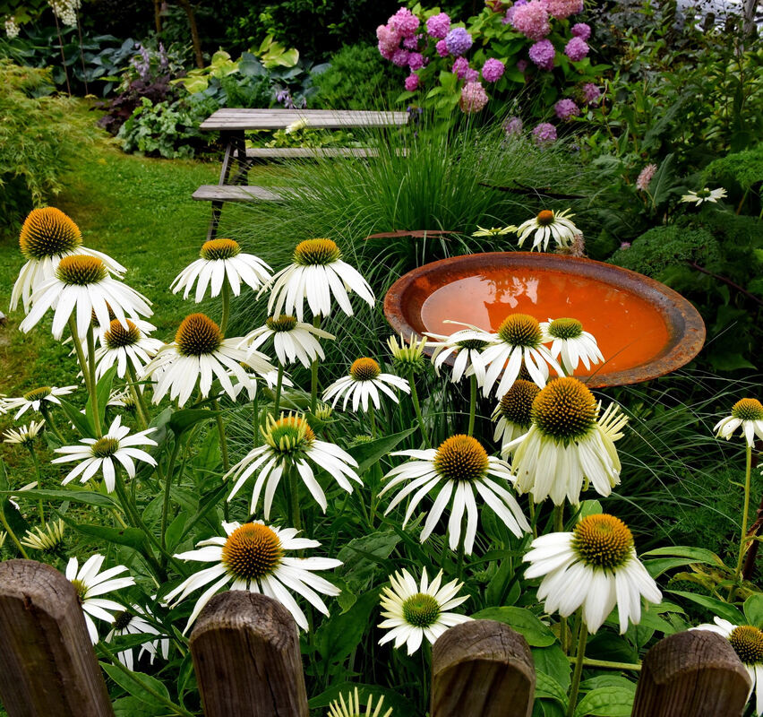 garten_plewe_rommelsbach_pacher_54