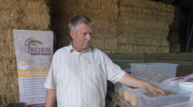 Was der Bauer kennt: Landwirt Ulrich Bechtle aus Waldhausen zeigt das Getreide, das er anbaut und lokal verkauft.  FOTO: LENSCHO