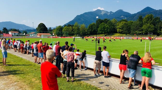 Die Zaungäste und eingefleischte VfB-Fans verbringen ihren Urlaub damit, den Profis im Trainingslager beim Schwitzen zuzusehen.