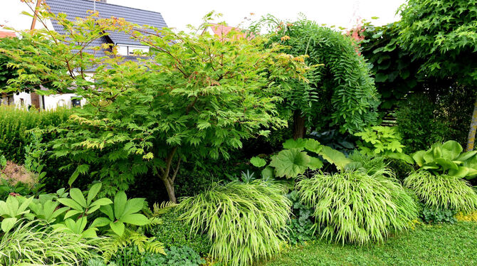 Seelenstreichelnde Grüntöne.