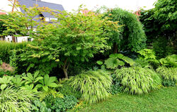 Seelenstreichelnde Grüntöne.