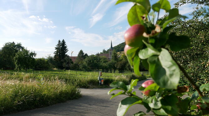 Wiesen und Obstbäume prägen bislang den Ortsrand im Bereich Hinter Höfen.  FOTO: NOL