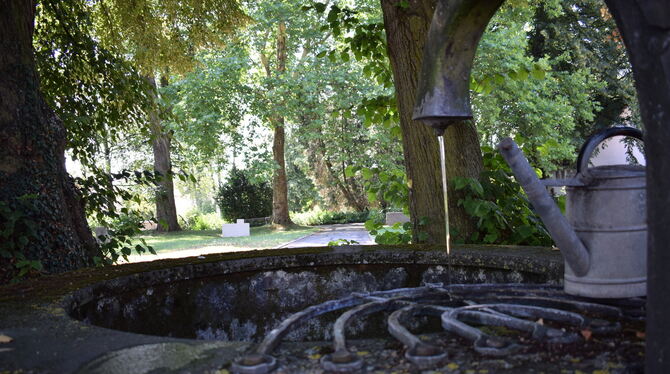 Auf dem alten Friedhof von Pliezhausen gibt es nicht nur Schatten unter uralten Bäumen, sondern auch fließendes Wasser am Brunne