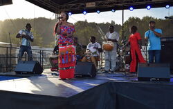 Farbenfroh und voller Musik: das Afrikafestival auf dem Tübinger Festgelände.  FOTO: JAENSCH
