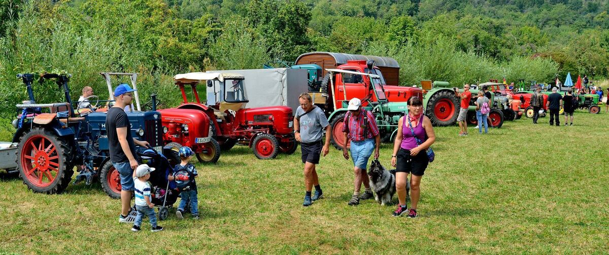 oldtimerschau_freilichtmuseum_beuren_niethammer_27