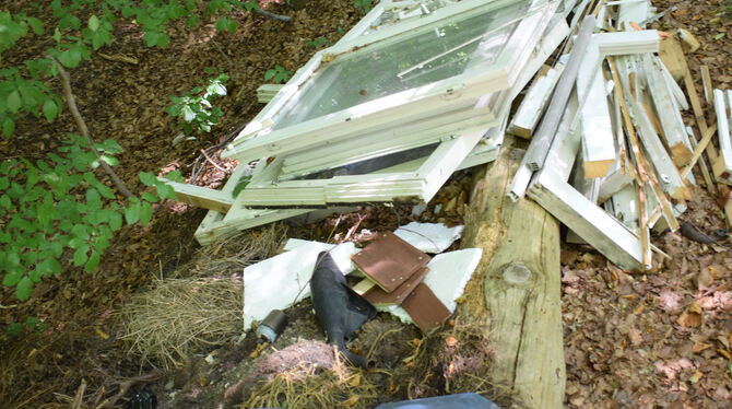 Einfach mal einen Haufen Fensterscheiben, Bauschutt und Müllsäcke im Wald entsorgt. So geschehen jüngst bei Walddorfhäslach. Die