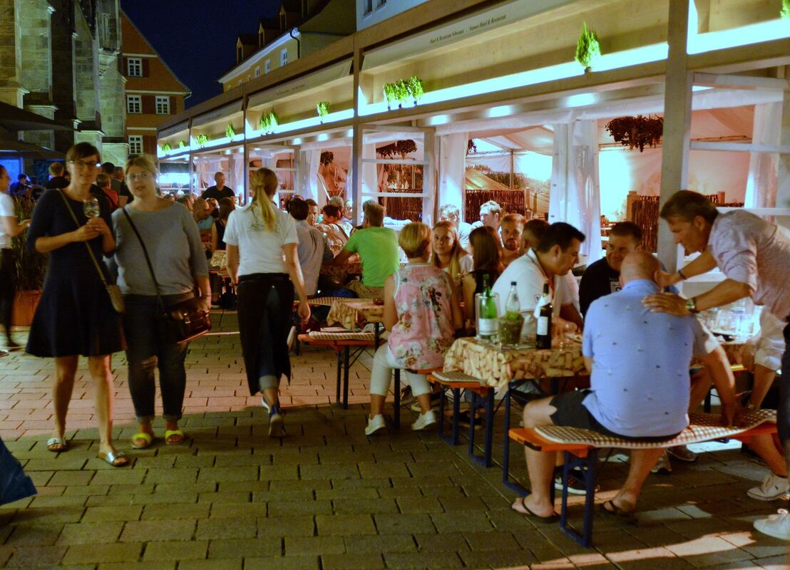 16wd22.8.18-niethammer