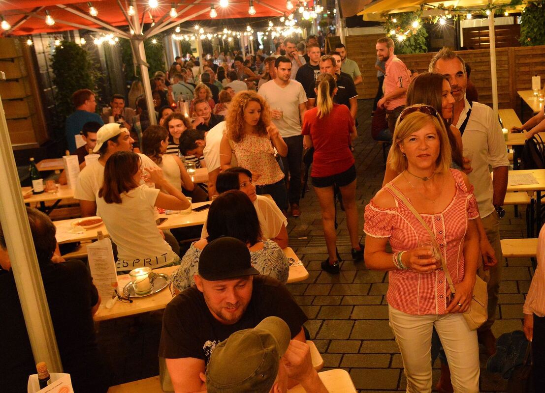 19wd22.8.18-niethammer